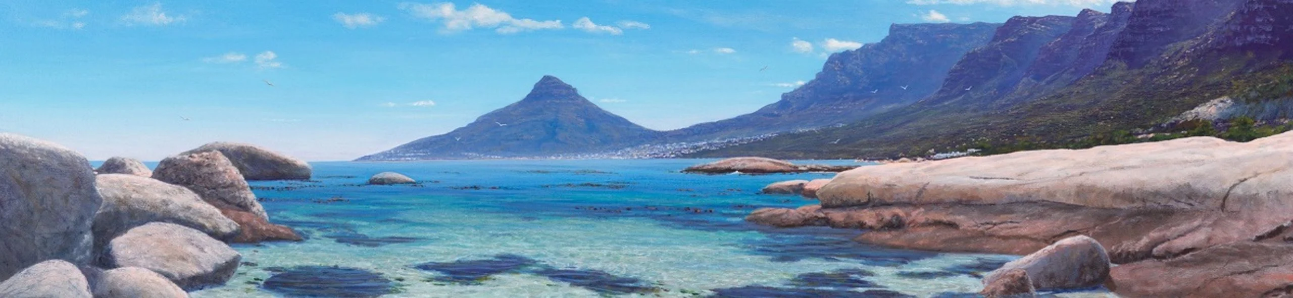 Cape Town artist Andrew Cooper terms of service