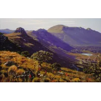 ac0013_-_silvermine_1089203850