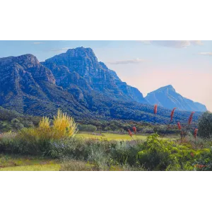ac0033_-_kirstenbosch_gardens_2062588967