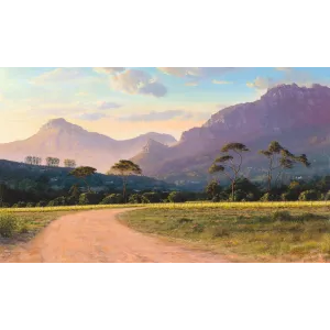 ac0183_groot_constantia_vineyards