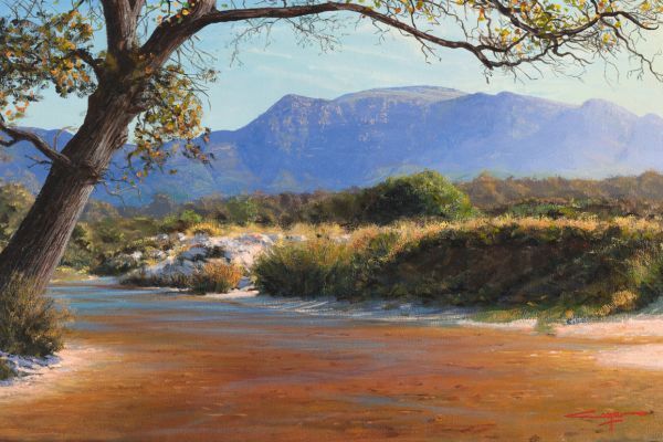 Tokai Forest for Parkscape Auction painting