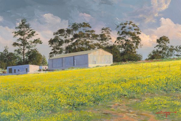 Canola fields, Overberg painting