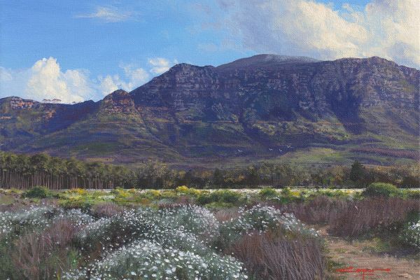 Fynbos walk, Tokai Forest painting