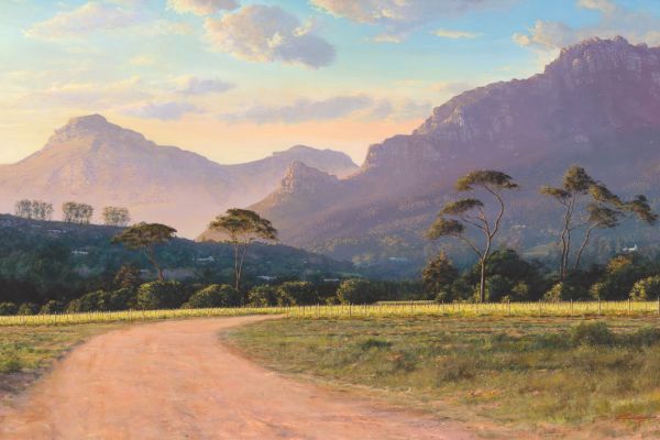 Groot Constantia vineyards painting