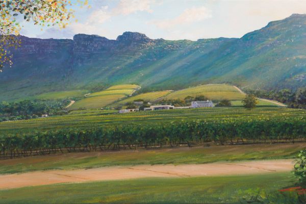 Cape Point  vineyards, Noordhoek painting