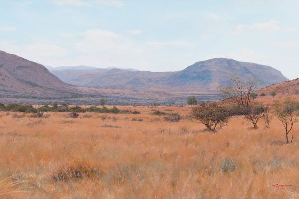 A dry October, Pilansberg painting