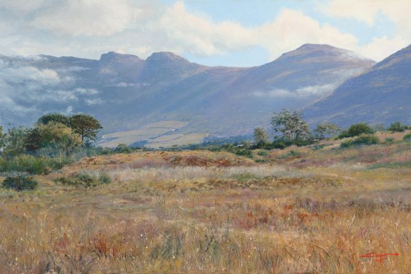 Grassy meadow, Noordhoek painting