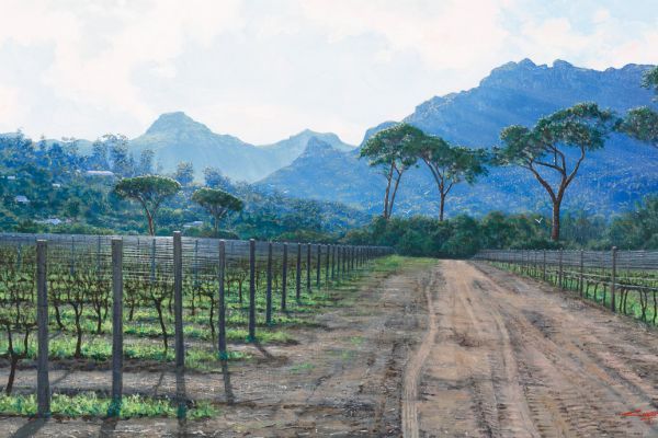 Winter Vines, Groot Constantia painting