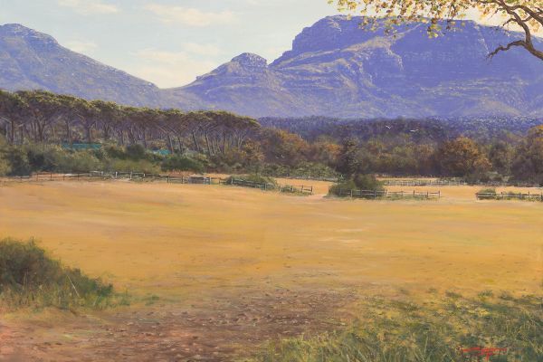 Sunny Morning, Noordhoek Common painting