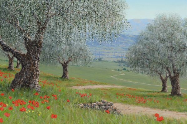 Ancient Olives, Umbria painting