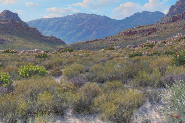 Scent of Mountain Fynbos