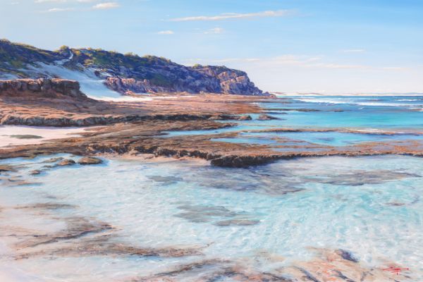 Roman Beach, Arniston painting