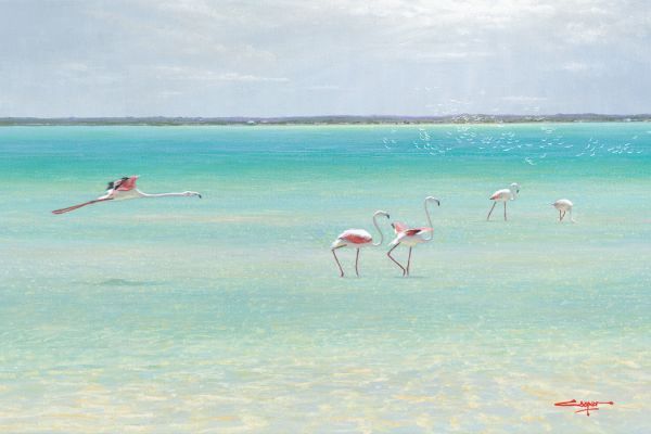 Flamingoes & Terns, Churchhaven painting